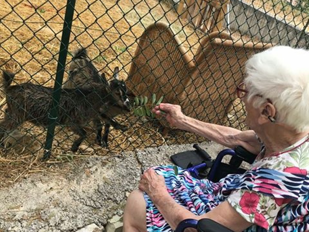 Pacha et Fleurette