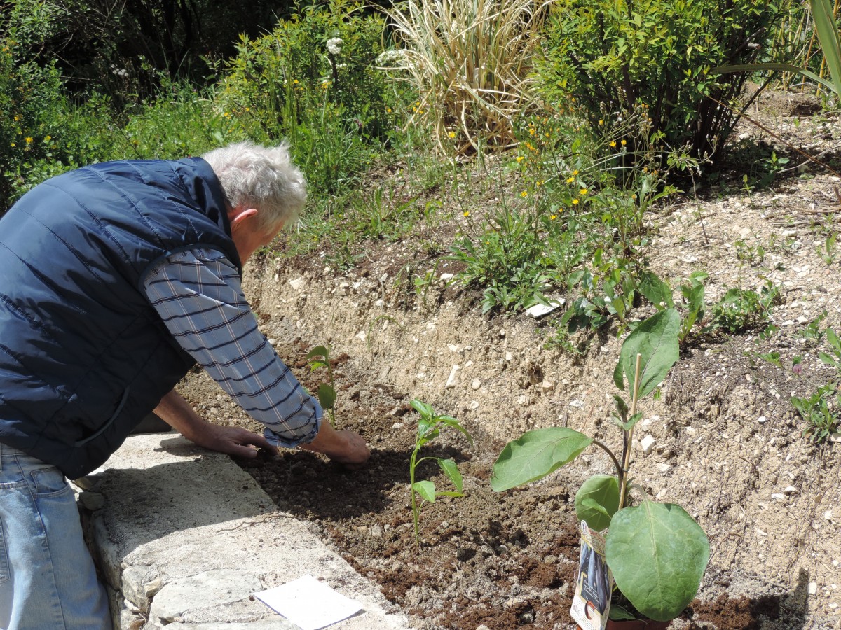 Atelier Jardinage