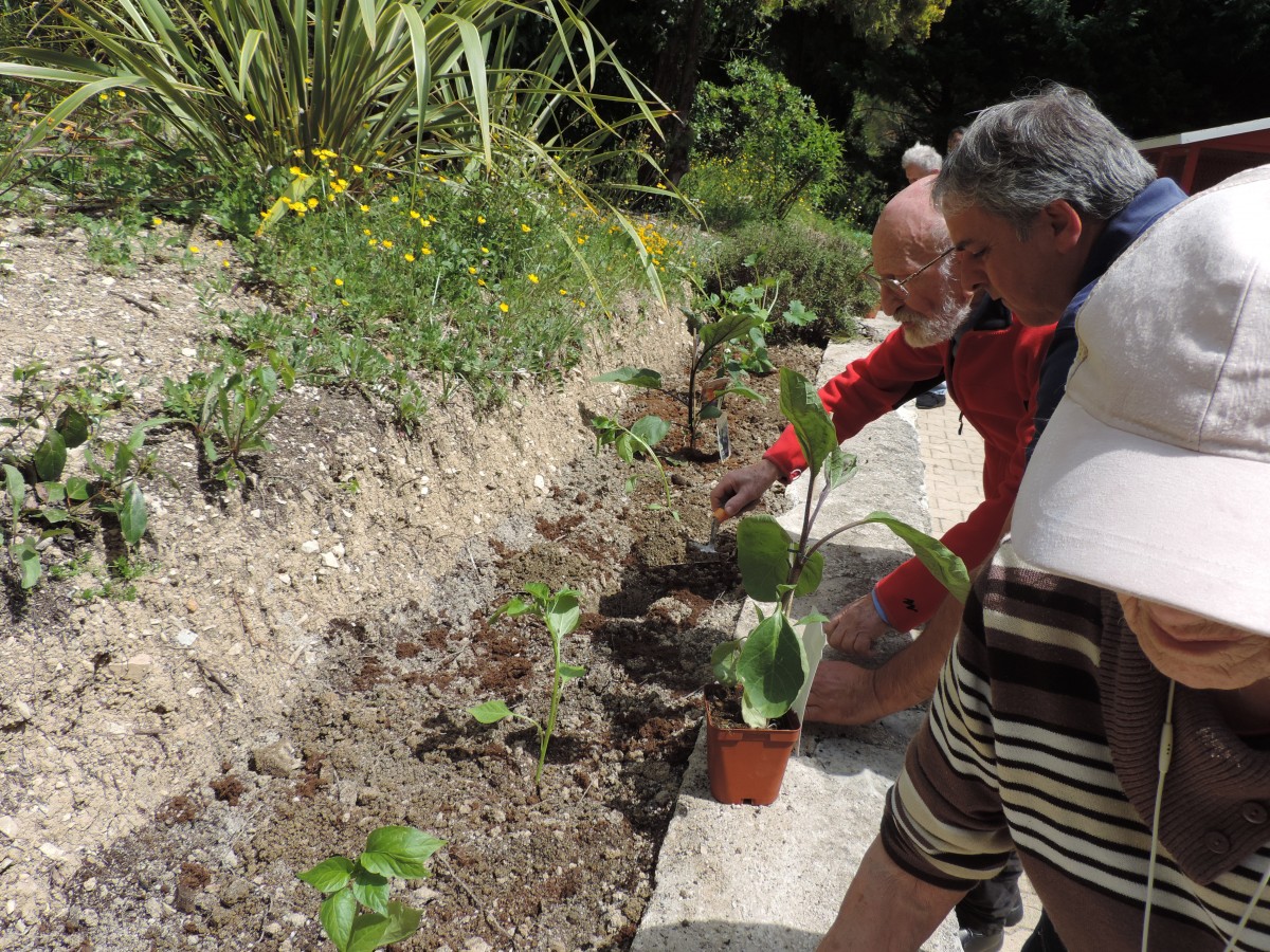 Atelier Jardinage